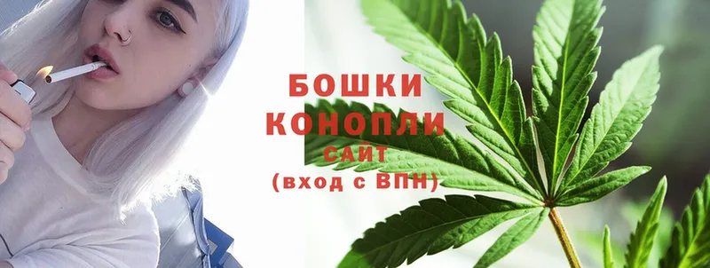 Марихуана SATIVA & INDICA  Северская 